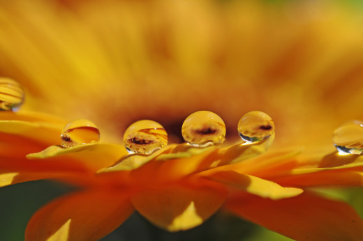 828678 (a): :2048x1360